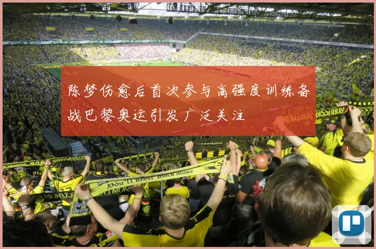 陈梦伤愈后首次参与高强度训练备战巴黎奥运引发广泛关注